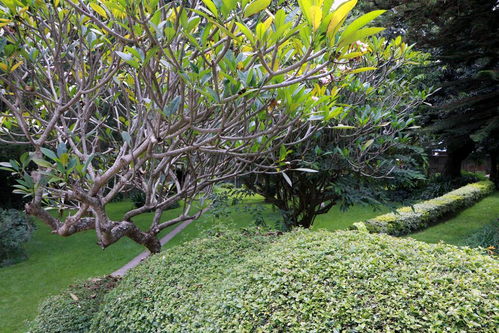 Equator Hotel 아루샤 외부 사진